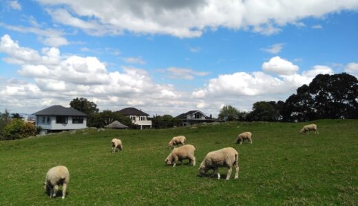 A Girl student from New Zealand