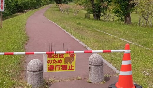 The brown bear’s habitat