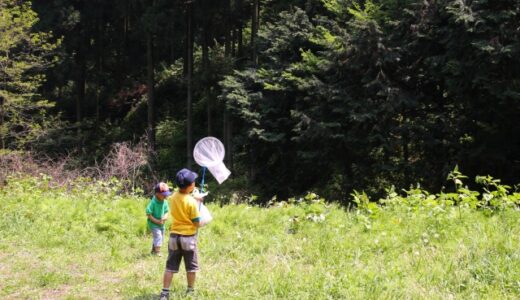 Not Crying, But Buzzing