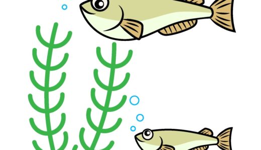 How should I do to be a good swimmer ？