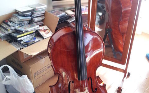 I like play the cello