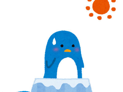 What do penguins drink?