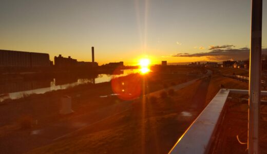 The morning sunlight