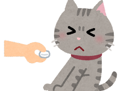 Medications in cat food