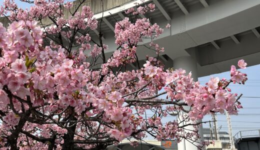 Wander around the city