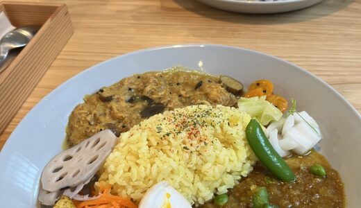 Special Curry and Rice