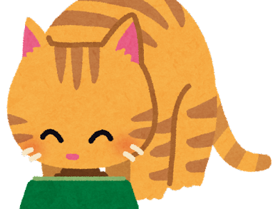 I talk to cats every day.