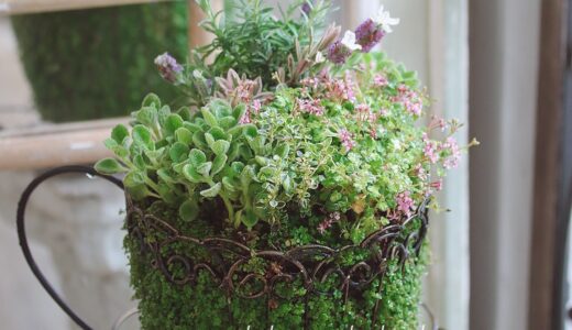 We will open a store at Makuhari Messe